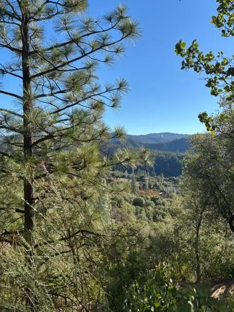 27447 W Laikam Lane, Columbia, CA 95310 - Image #1