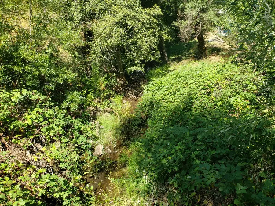 0 Greenwood Rd, Greenwood, CA 95635 - Image #3