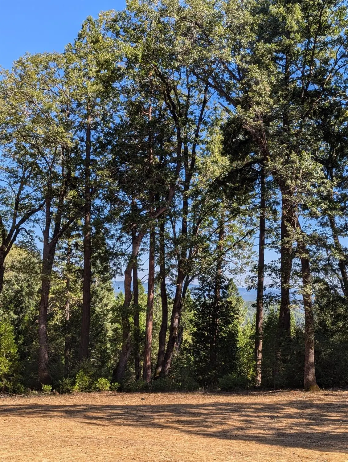 13625 Pegasus Place, Nevada City, CA 95959 - Image #1