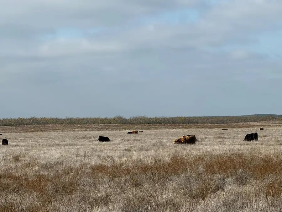 0 Dunton S Of Road, Oakdale, CA 95361 - Image #3