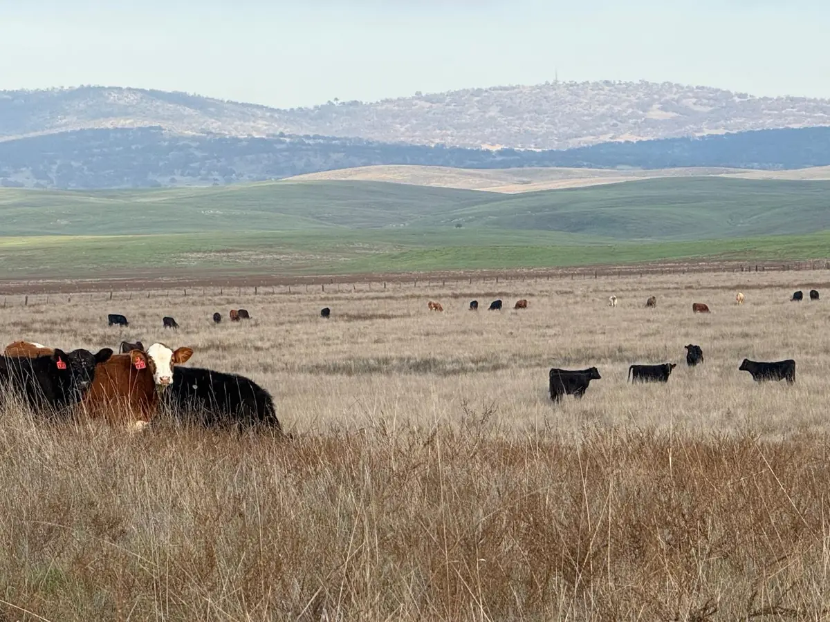 0 Dunton Road, Oakdale, CA 95361 - Image #1