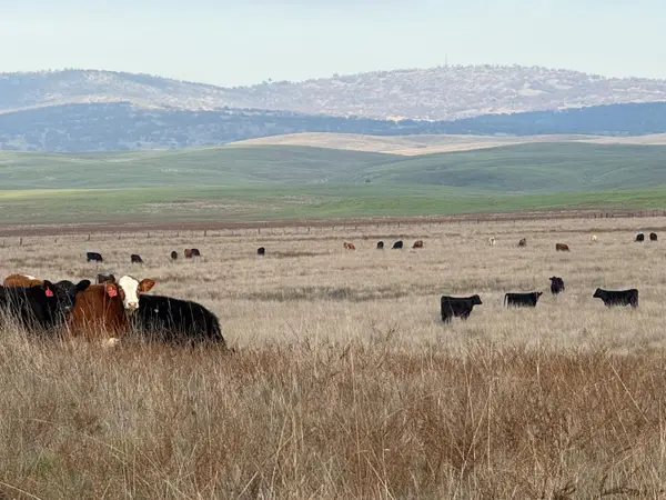 0 Dunton Road, Oakdale, CA 95361