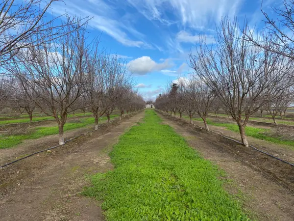 17751 Sexton Road, Escalon, CA 95320