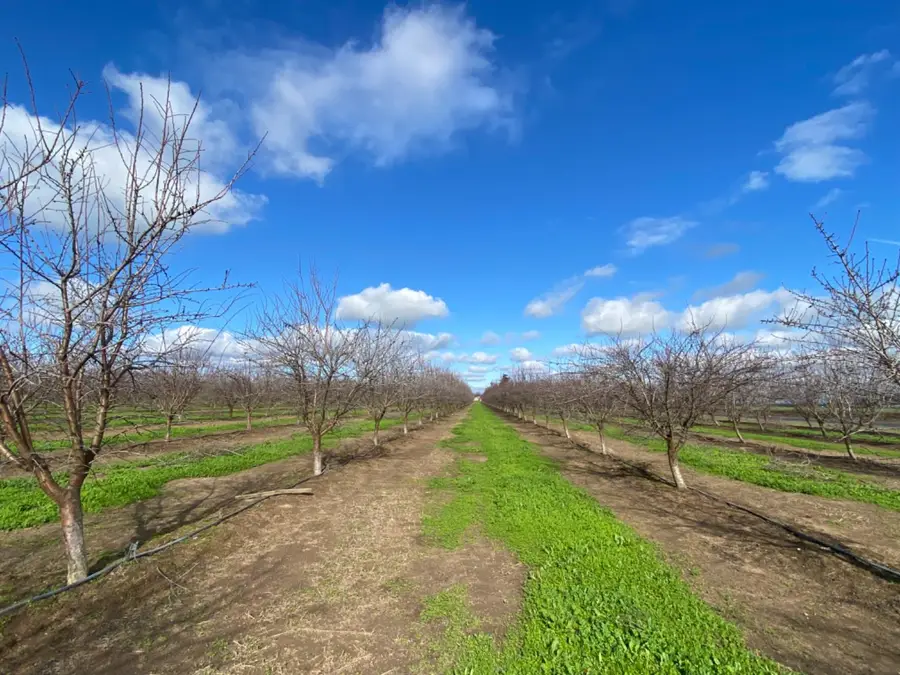 22451 Hwy 120 Street, Escalon, CA 95320 - Image #2