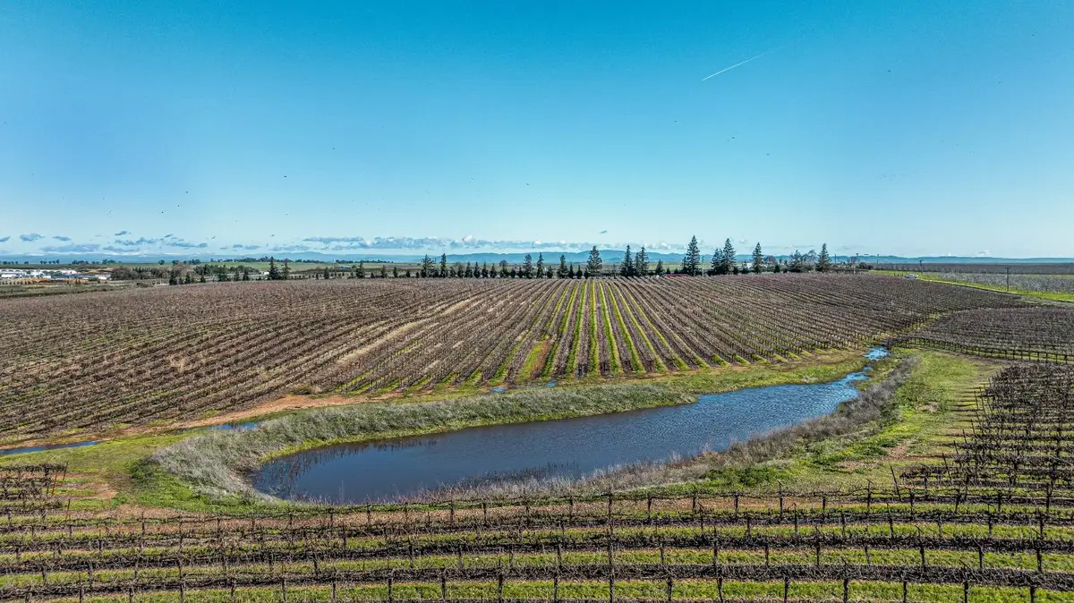 20075 E Kettleman Lane, Lodi, CA 95240 - #1