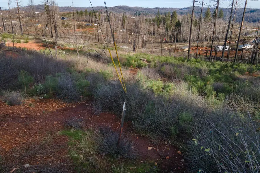 5087 Woodridge Drive, Grizzly Flats, CA 95636 - Image #3