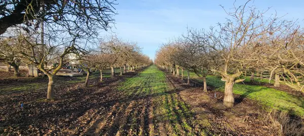 0 Santa Fe, Chowchilla, CA 93610