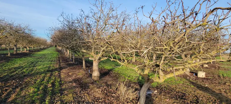 0 Santa Fe, Chowchilla, CA 93610 - Image #2