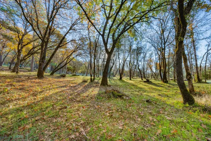 10746 S Ponderosa Way, Rough And Ready, CA 95975 - Image #2