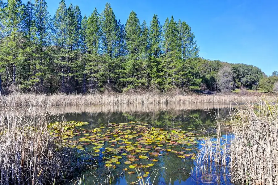 13598 Desperado Dr, Penn Valley, CA 95946 - Image #2