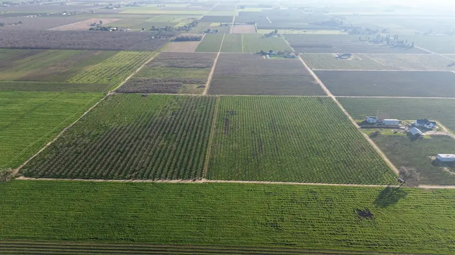 15910 N Locust Tree Road, Lodi, CA 95240 - Image #3