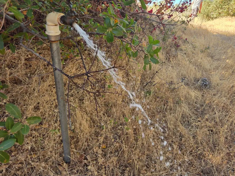 23026 Eldore Road, Smartsville, CA 95977 - Image #2