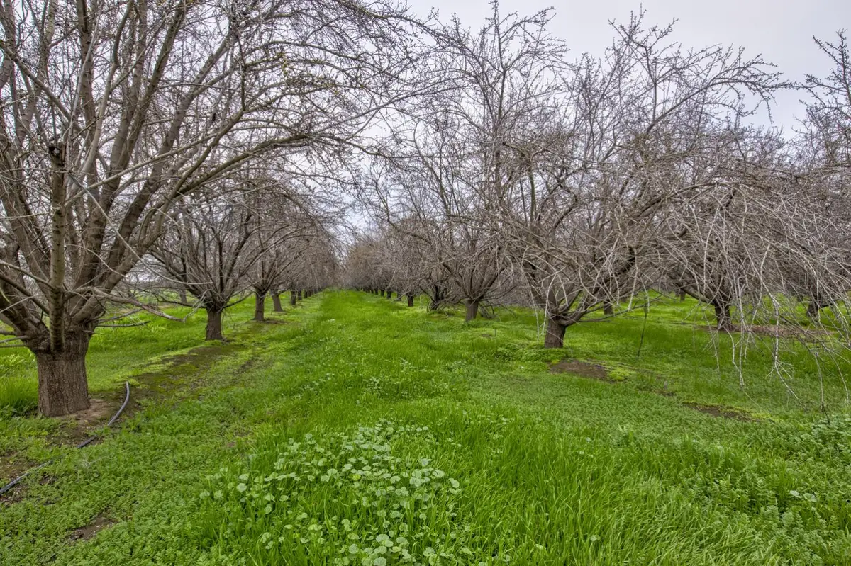 0 Ave 48, Earlimart, CA 93219 - Image #1