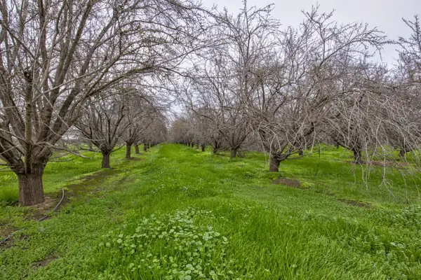 0 Ave 48, Earlimart, CA 93219