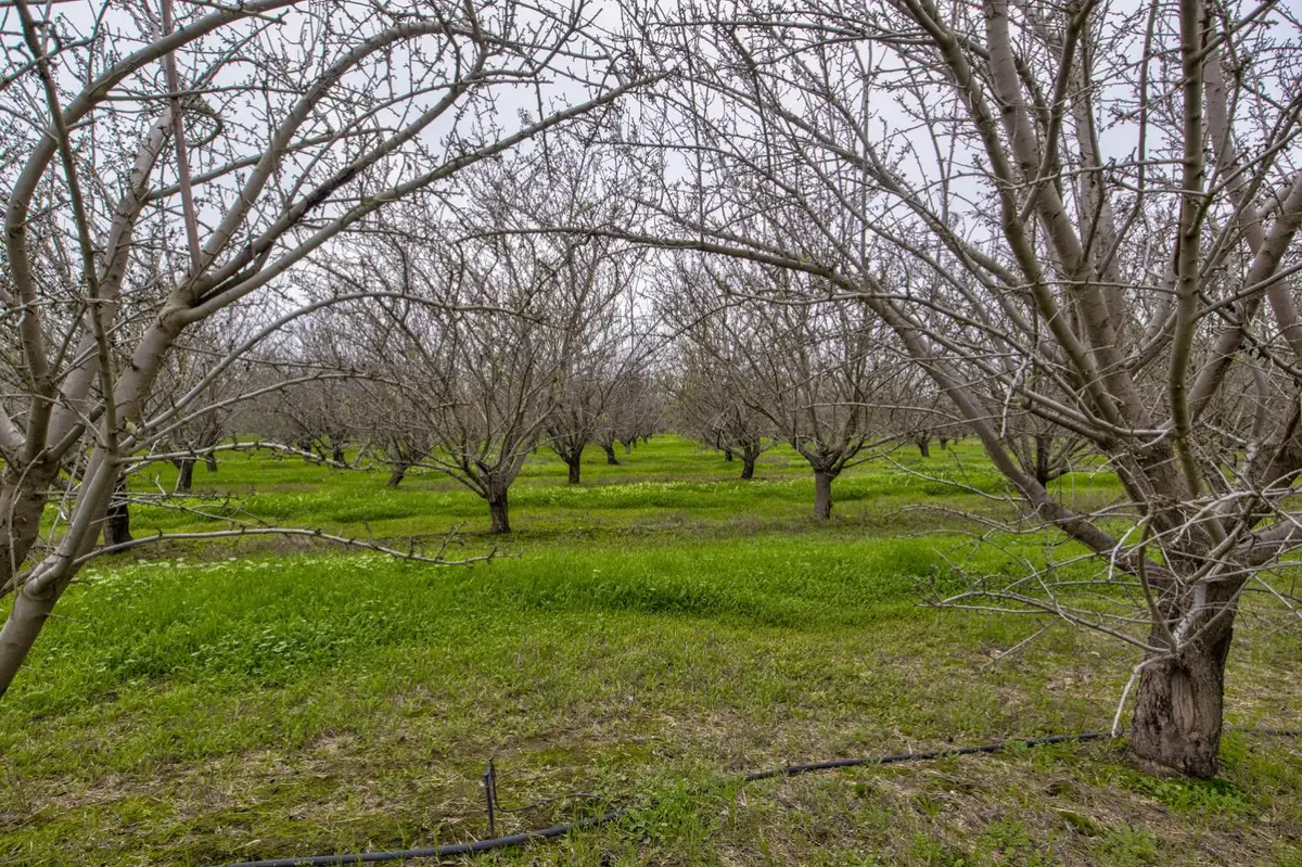 0 Howard Road, Earlimart, CA 93219 - Image #1