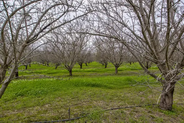 0 Howard Road, Earlimart, CA 93219