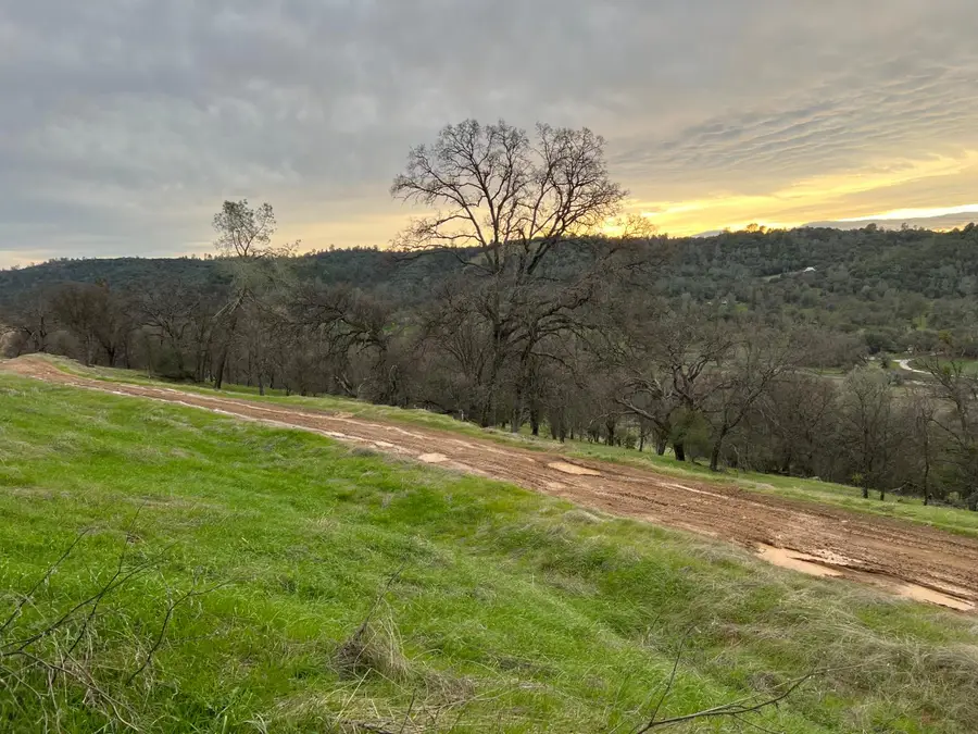 1749 Pinto Road, Angels Camp, CA 95222 - Image #3