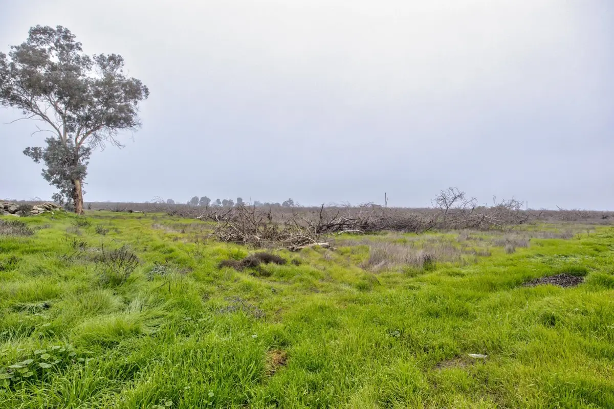 16605 Road 208, Porterville, CA 93257 - Image #1