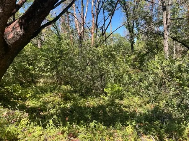 0 Broken Springs, Oroville, CA 95966 - Image #2