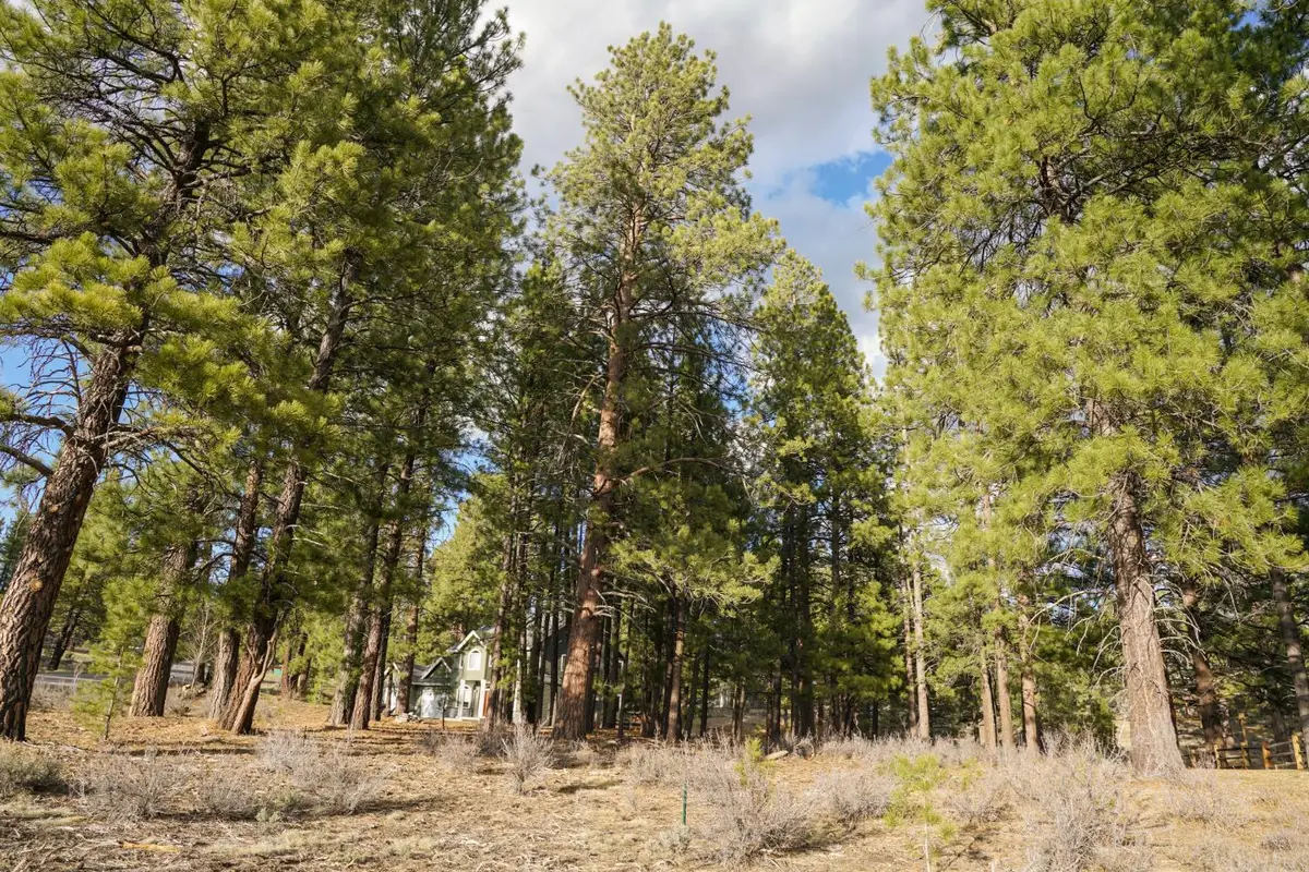 15627 Sudsbury Circle, Truckee, CA 96161 - Image #1