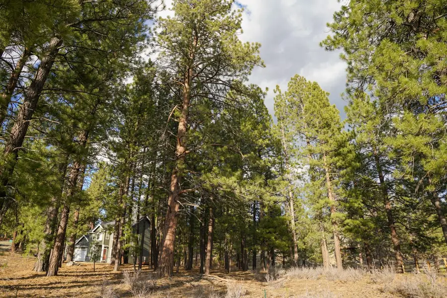 15627 Sudsbury Circle, Truckee, CA 96161 - Image #2