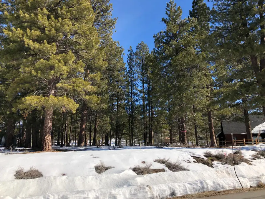 15627 Sudsbury Circle, Truckee, CA 96161 - Image #3