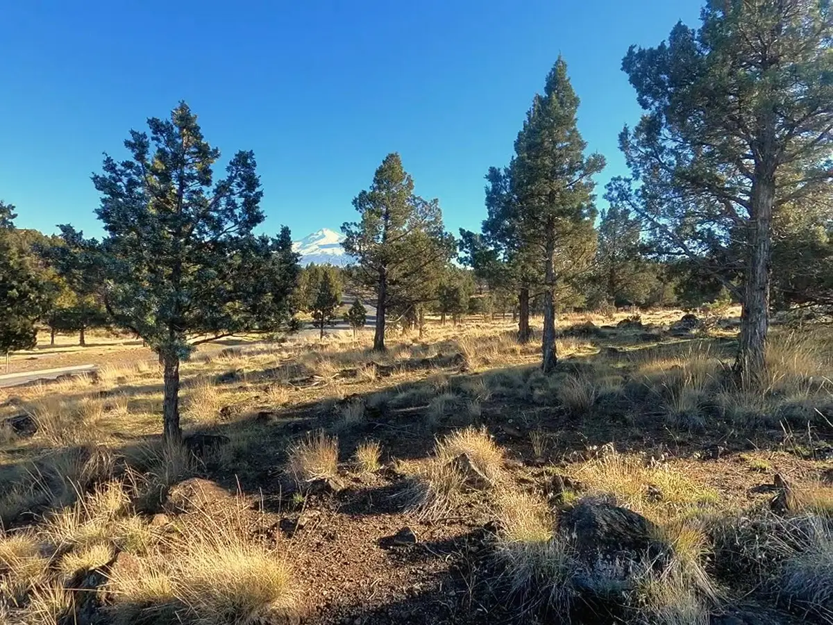 0 Mountain Wood Drive, Weed, CA 96094 - Image #1