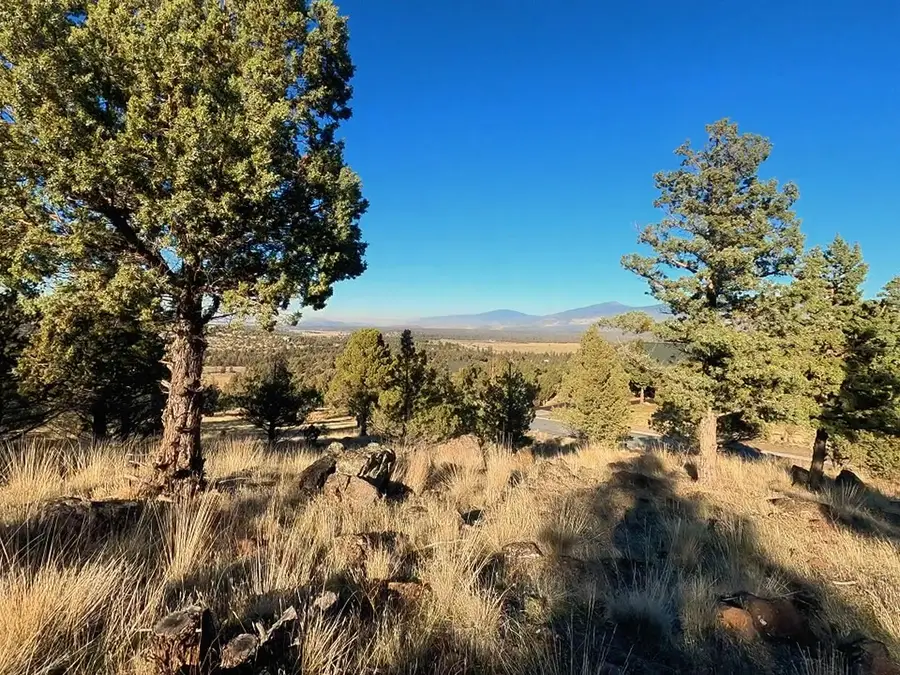 0 Mountain Wood Drive, Weed, CA 96094 - Image #3