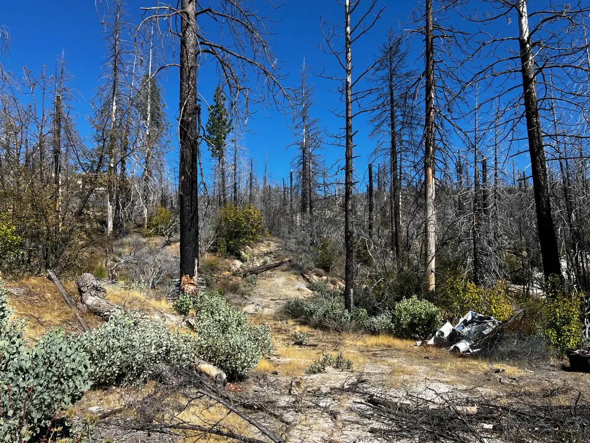 0 Bald Rock Road, Berry Creek, CA 95916 - Image #1