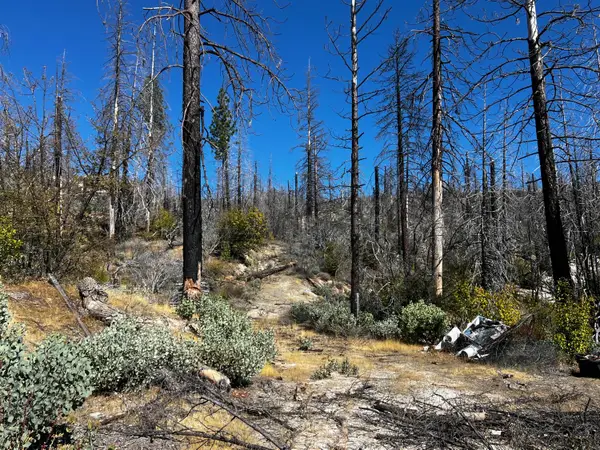 0 Bald Rock Road, Berry Creek, CA 95916