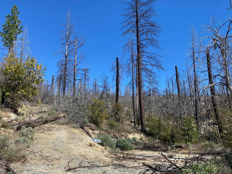 0 Bald Rock Road, Berry Creek, CA 95916 - Image #2