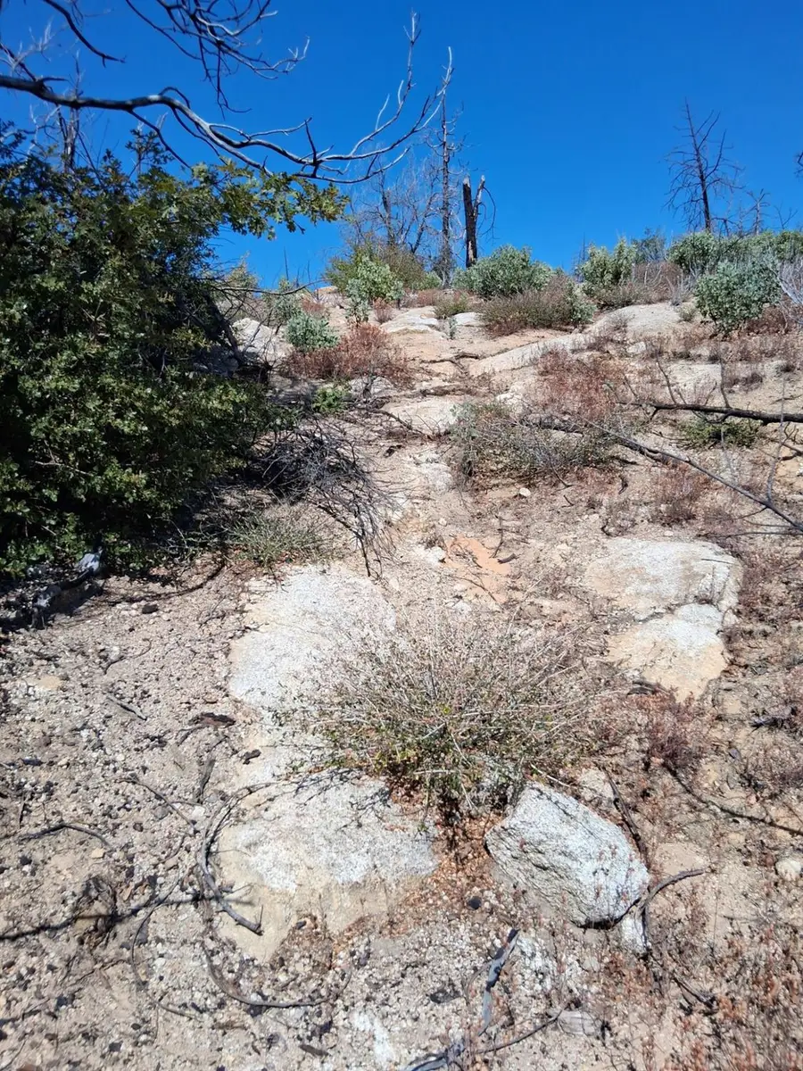 0 Bald Rock Road, Berry Creek, CA 95916 - Image #3