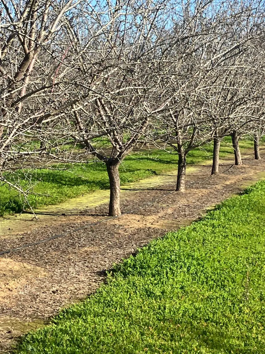 1935 Warnock Way, Durham, CA 95938 - Image #2