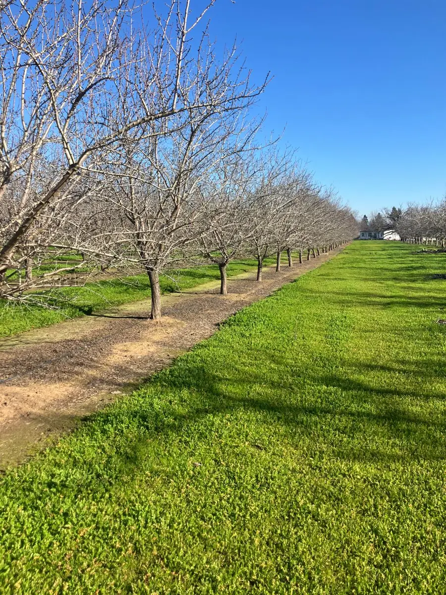 1935 Warnock Way, Durham, CA 95938 - Image #3