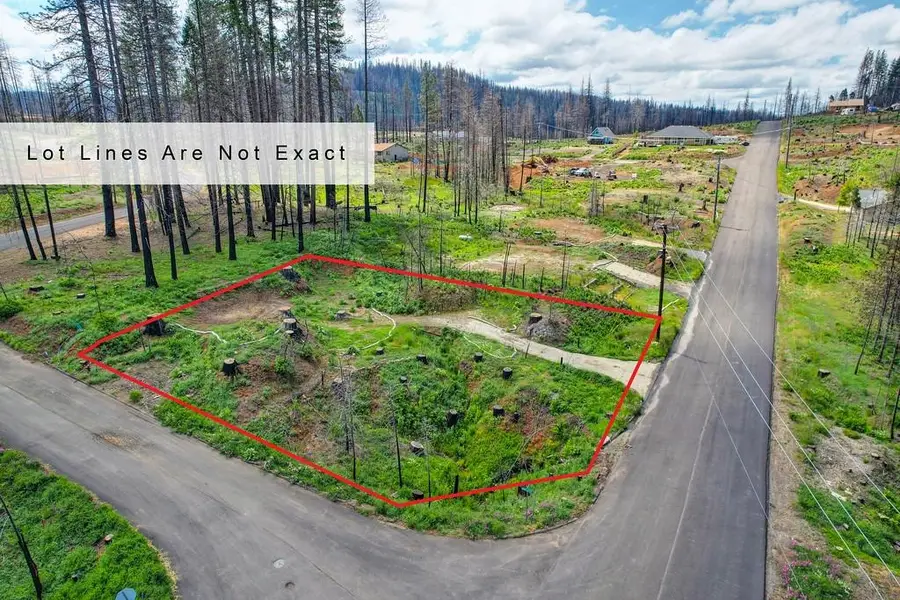 5136 Evergreen Drive, Grizzly Flats, CA 95636 - Image #2