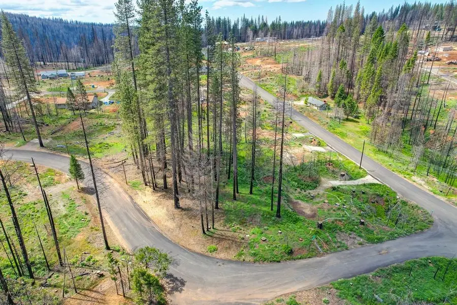 5139 Wooded Glen Road, Grizzly Flats, CA 95636 - Image #2