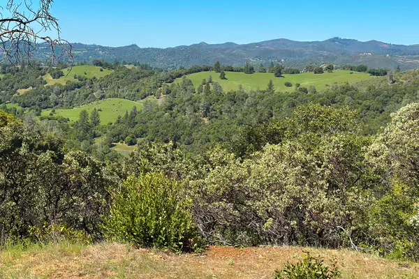 6652 Pappalardo, Murphys, CA 95247