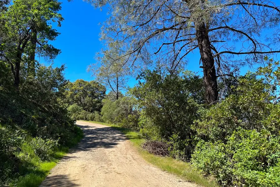 6652 Pappalardo, Murphys, CA 95247 - #3