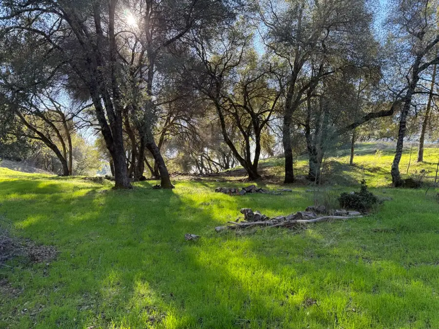 0 Lauren Lane, Jackson, CA 95642 - Image #3