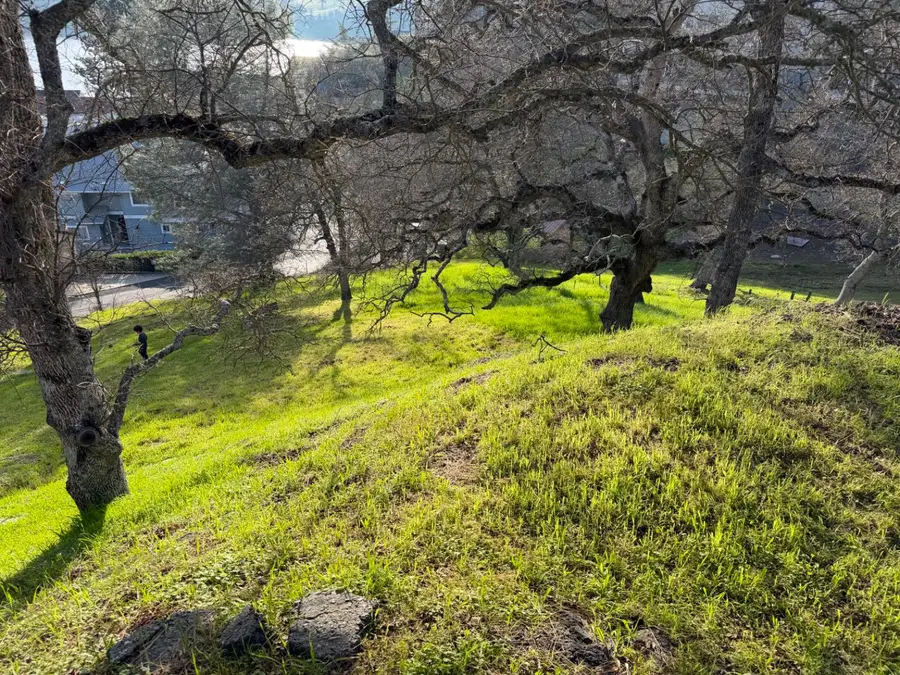 257 Thomson Lane, Copperopolis, CA 95228 - Image #2