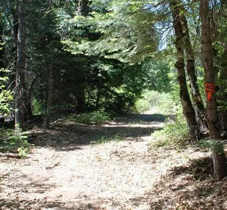 0 Kearsarge Mill Road, Alta, CA 95715 - Image #3