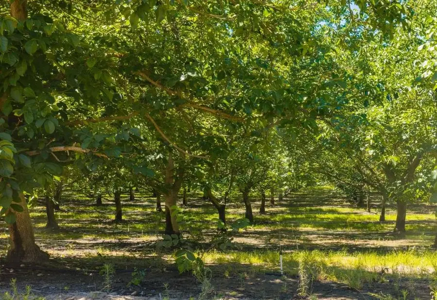 24608 Yosemite Boulevard, Waterford, CA 95386 - #3