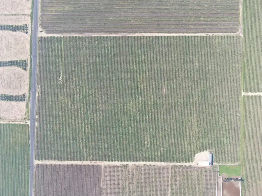 3409 W Woodbridge Road, Lodi, CA 95242 - Image #2