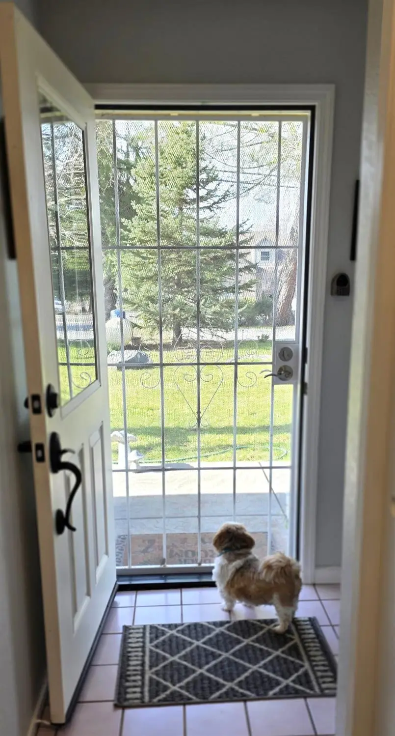 12121 Lake Wildwood Drive, Penn Valley, CA 95946 - Image #3