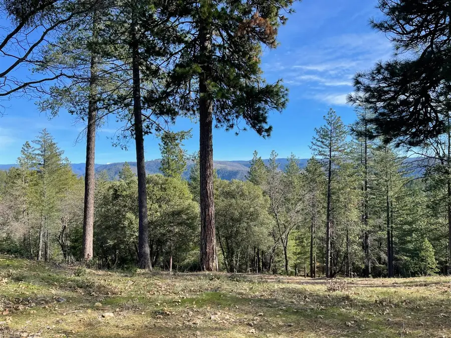 6827 Gray Court, Foresthill, CA 95631 - Image #3