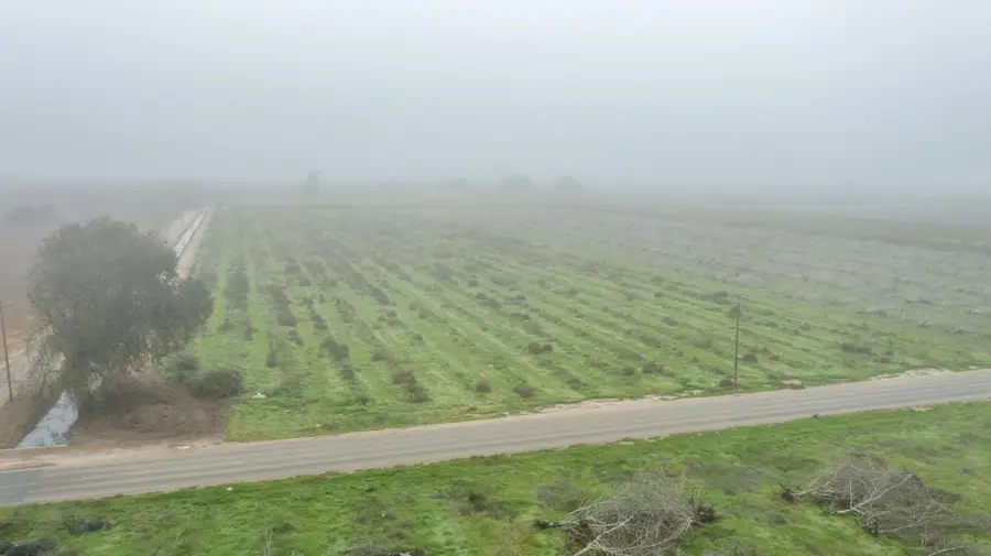 0 Road 208, Porterville, CA 93257 - #3