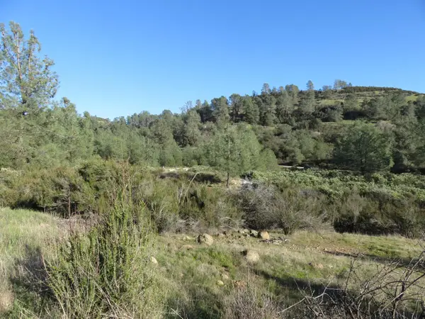 0 White Rock Road, Mountain Ranch, CA 95246