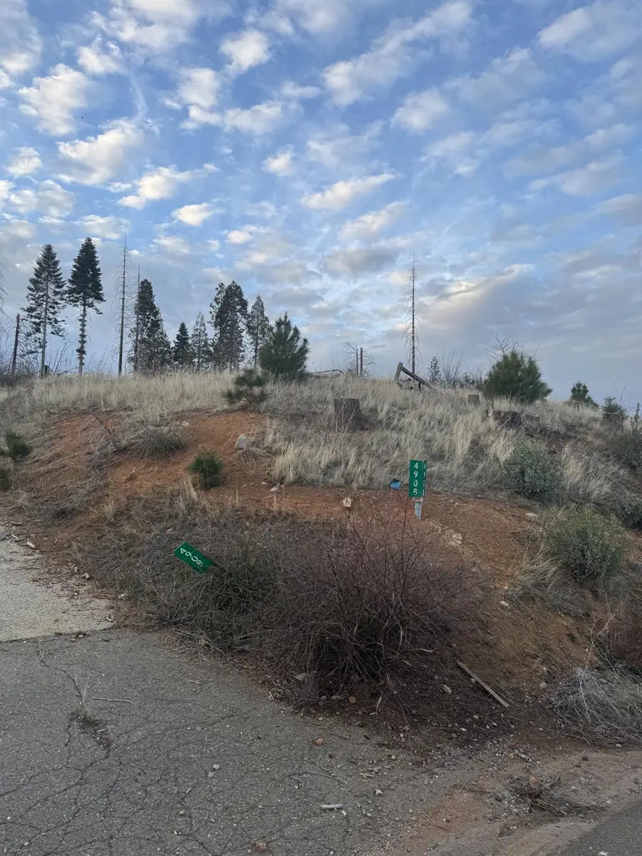 4908 Sciaroni Road, Grizzly Flats, CA 95636 - Image #2
