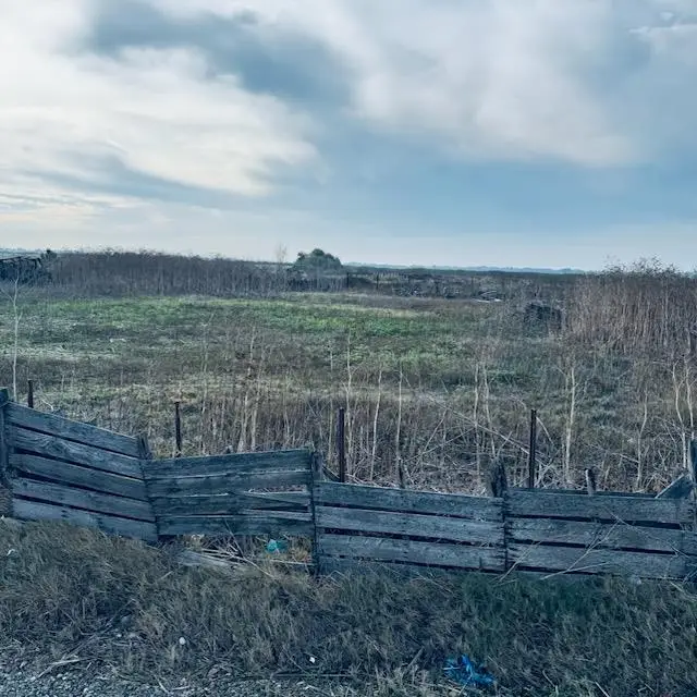 21975 State Highway 140, Stevinson, CA 95374 - Image #1