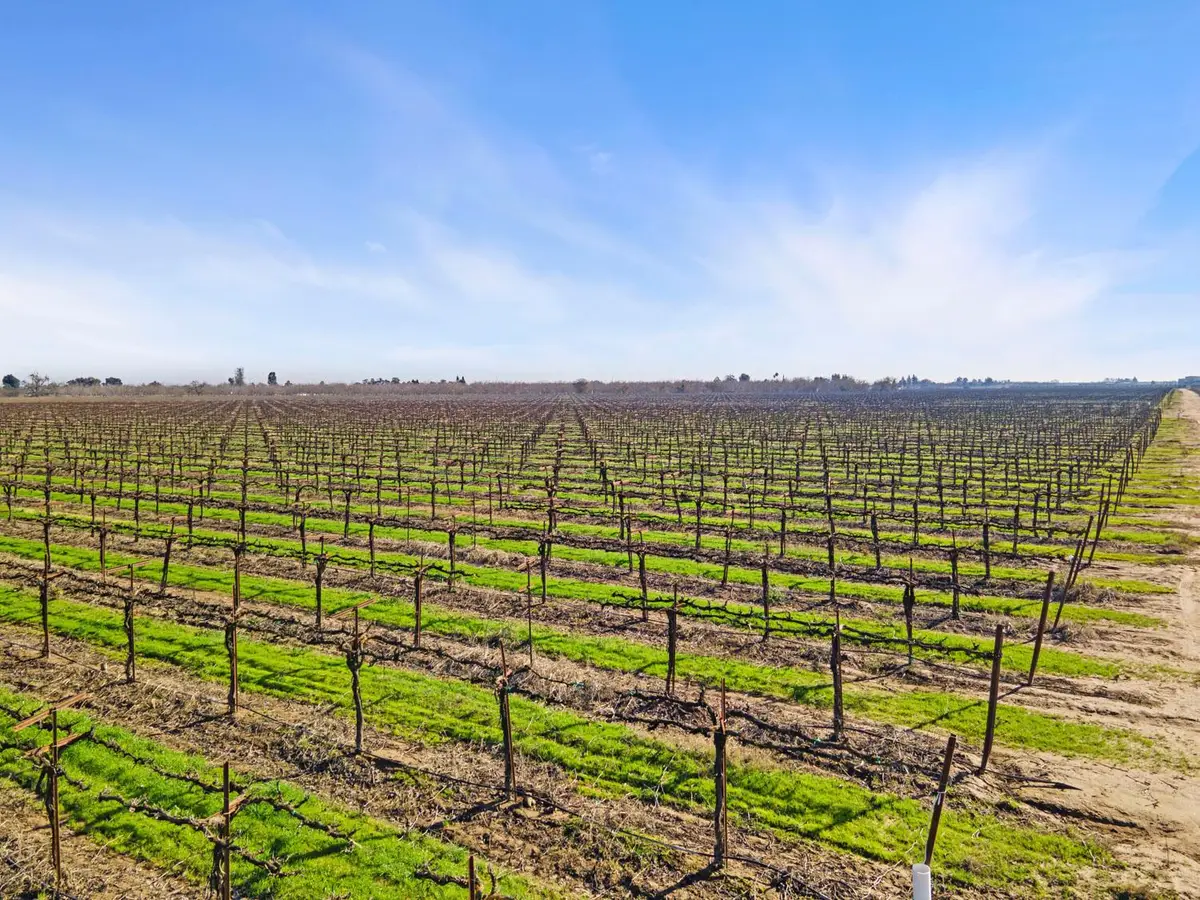 10400 E Harney Lane, Lodi, CA 95240 - Image #1